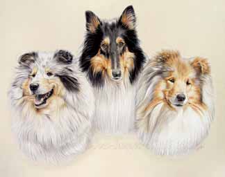 Tableau animalier de trois chiens Colley